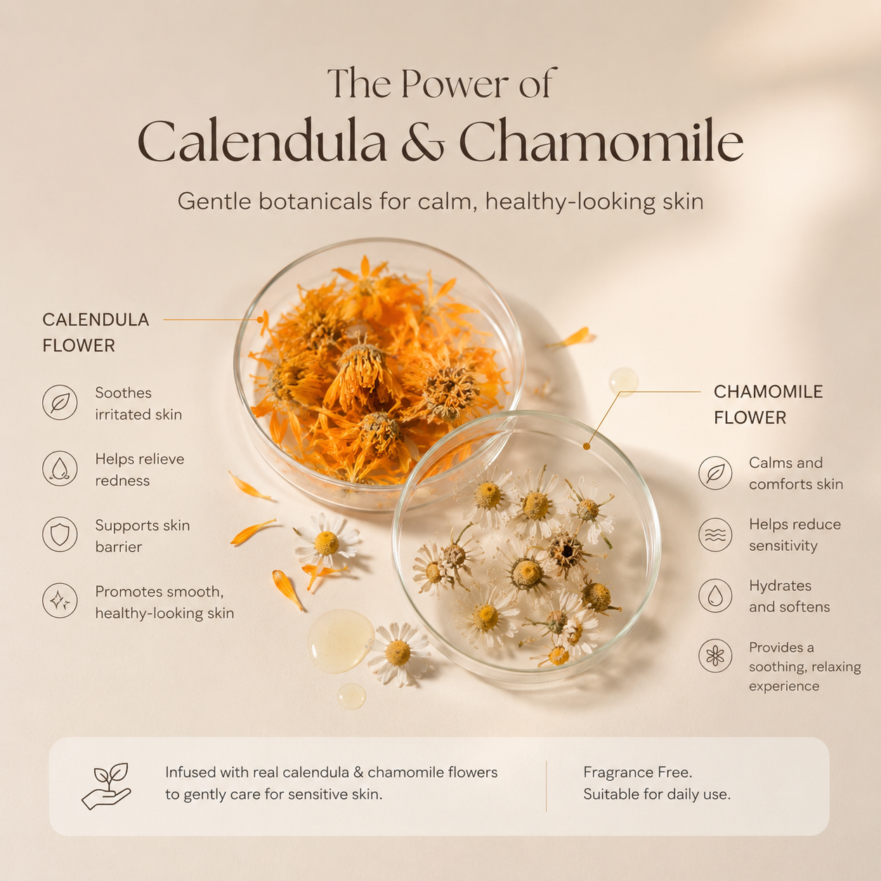 Calendula & Chamomile Shower Gel